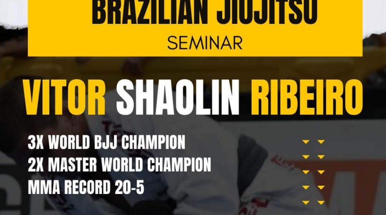 Séminaire avec Vitor Shaolin Ribeiro